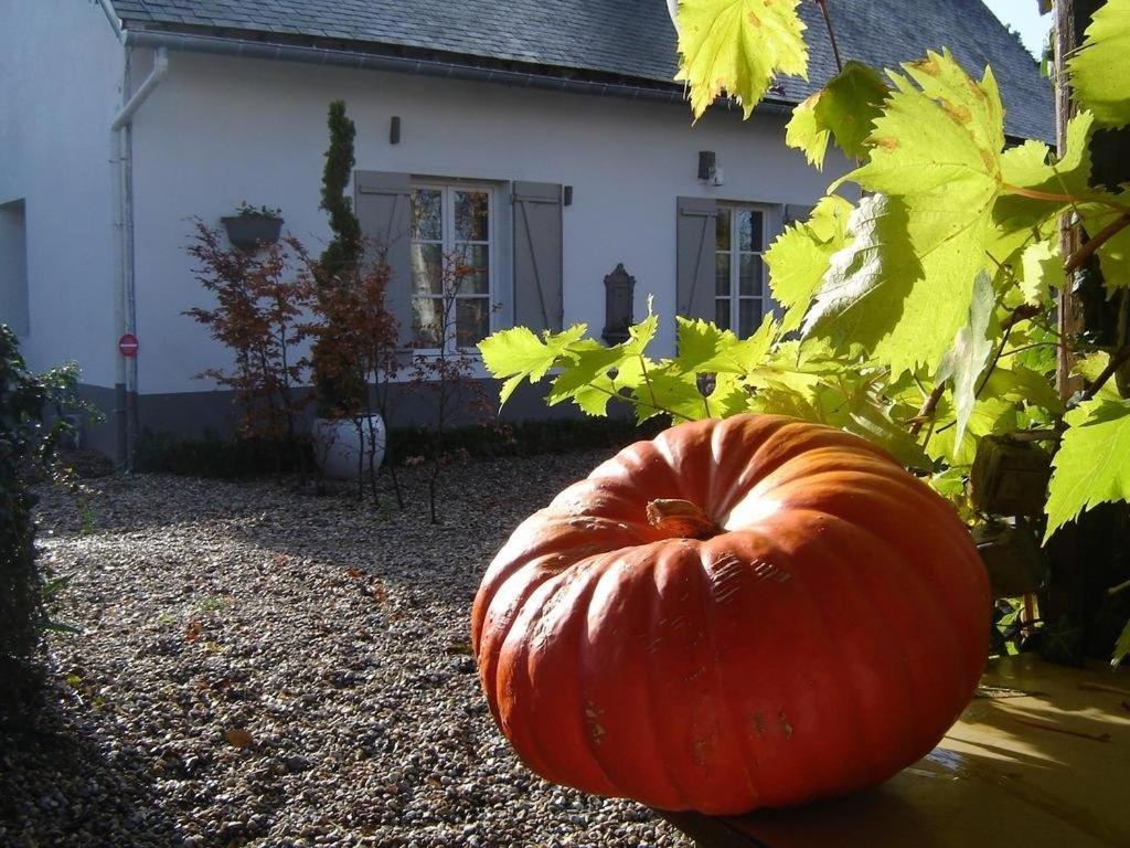 Gite Cottage D'Hamicourt Aux Portes De La Baie De Somme Exterior photo